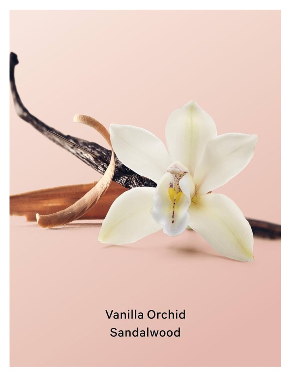 Victoria's Secret Vanilla Orchid Sandalwood 2-Piece Body Care Set - NEW IN BOX - Picture 3 of 4
